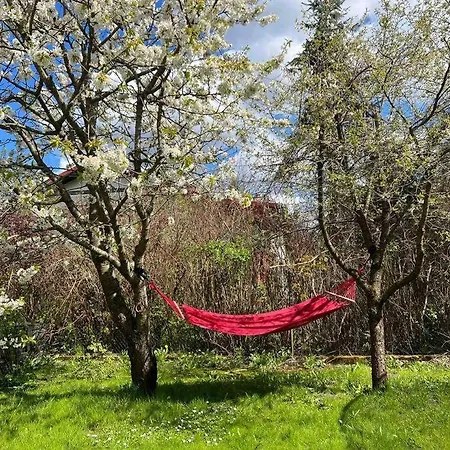 Apartmán W ,chlewiku”