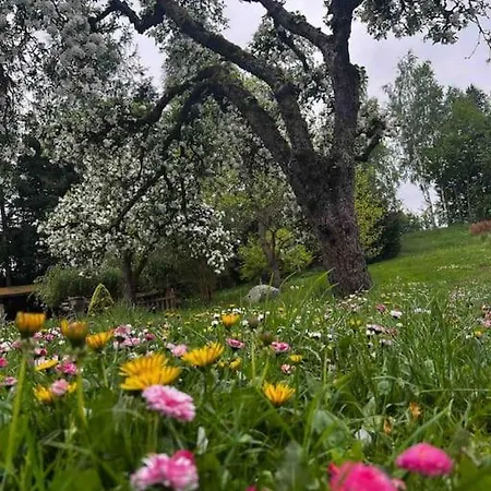 W ,chlewiku” Gołdap